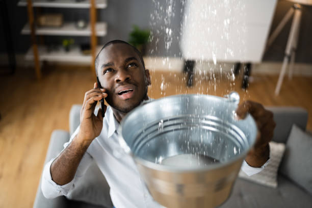 Best Ceiling water damage repair  in Moody, TX