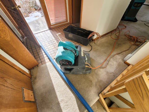 Best Carpet water damage restoration  in Moody, TX
