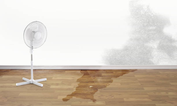 Best Ceiling water damage repair  in Moody, TX